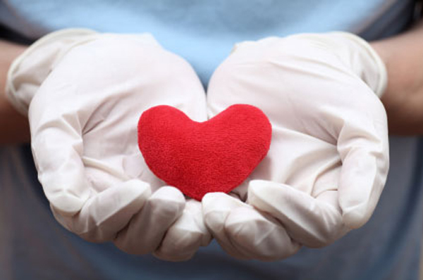 Heart shape in doctor's hand